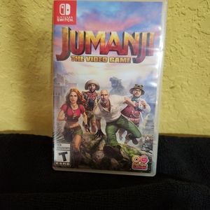 Nintendo  switch game